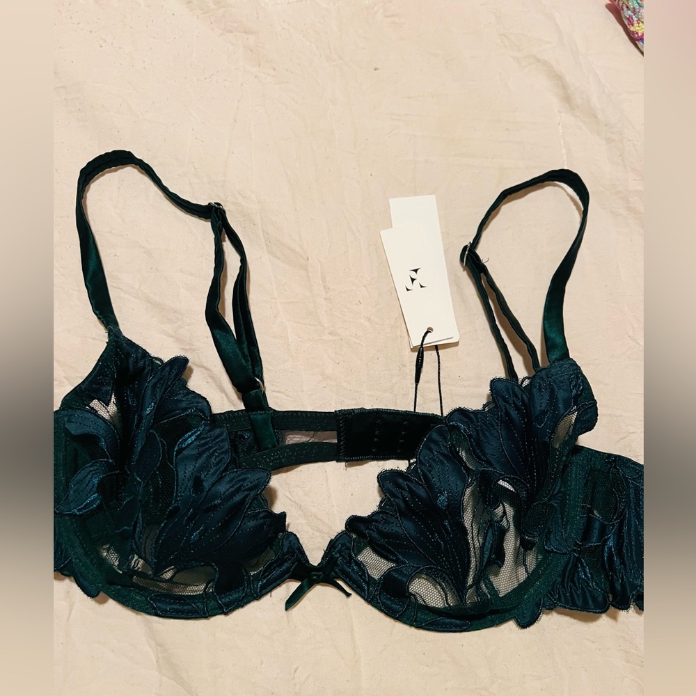 NWT Fluer de mal green silk bra-32B